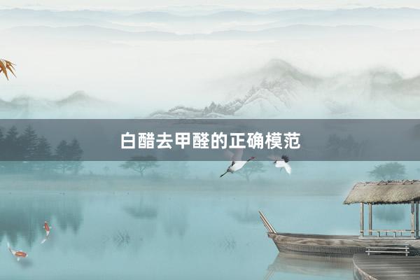 白醋去甲醛的正确模范