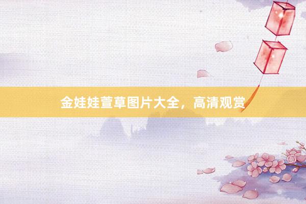 金娃娃萱草图片大全，高清观赏